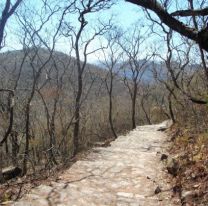 ¿La salamanca?: Los extraños ruidos que empezaron a sentirse en el cerro San Bernardo