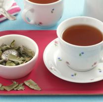 Beneficios y propiedades del té de eucalipto