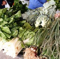 Productores de Jujuy donaron verduras a familias de Gral. Güemes