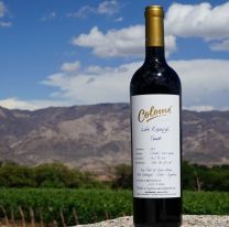 C&oacute;mo es y cu&aacute;nto cuesta el vino salte&ntilde;o que est&aacute; entre los 5 mejores del mundo