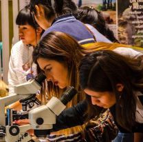 Ya está en marcha la Expo Futuro 2020