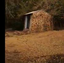 Una gruta de la Virgen de Lourdes se salvó del fuego en Córdoba