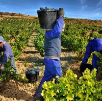 8 de octubre: Día del Trabajador Rural
