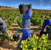 Hoy se celebra el Día del Trabajador Rural