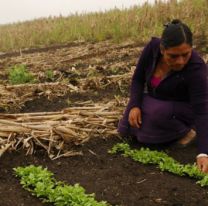 15 de octubre: Día internacional de las mujeres rurales