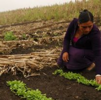 15 de octubre: D&iacute;a internacional de las mujeres rurales