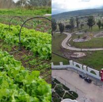 Los Parques Urbanos proveerán alimentos frescos a los comedores infantiles