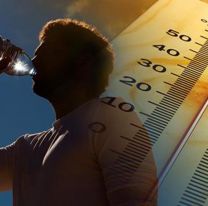 Ni Or&aacute;n, ni Tartagal: la localidad salte&ntilde;a en d&oacute;nde el calor derriti&oacute; el term&oacute;metro