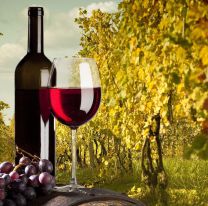 Mejoró la venta de vinos salteños durante la pandemia