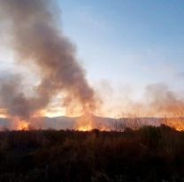 Diputados debate un proyecto para prohibir la venta de los predios forestales incendiados