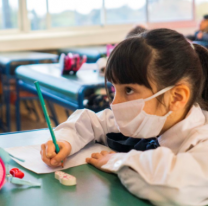Piden la vuelta a las aulas: proponen que se analice la situaci&oacute;n en cada escuela