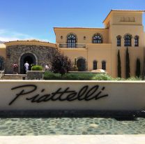 La bodega Piattelli abre su exclusivo resort en Cafayate y est&aacute; buscando personal