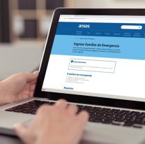 S&oacute;lo el 30% va a cobrar el &uacute;ltimo IFE del a&ntilde;o