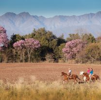 Chicoana, descubre la cultura salteña en medio de paisajes increíbles