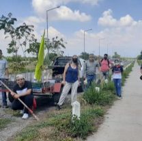 Maestros plantantaron más de 50 árboles a la vera de la ciclovía de Camino a Colón