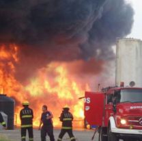 Diputados aprobó proyecto que prohíbe la venta de terrenos incendiados por 60 años