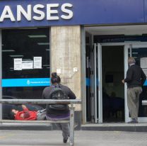 $8500 o $10.294 para jóvenes, empleada doméstica o trabajadores informales, en lugar del IFE