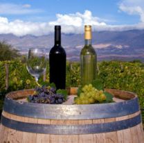 Hoy es el Día del Vino Argentino