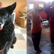 Murió Negrita y bomberos salteños la despidieron con mucha emoción: “Te vamos a extrañar”