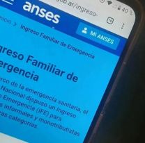 IFE de $30.000 de ANSES: qué es el “subsidio universal al desocupado” que pidió un legislador