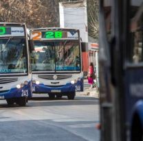 Colectivos gratis el domingo 14 en Salta