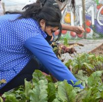 Talleres gratuitos de compostaje en las huertas comunitarias