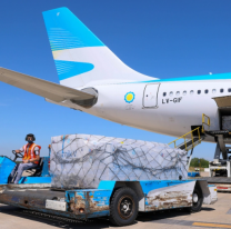 Otro vuelo de Aerol&iacute;neas parte en busca de la segunda tanda de la Sputnik V