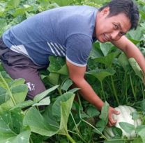 Comunidades Wichis realizaron sus primeras cosechas de sus huertas comunitarias