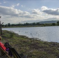 Escucha y avistaje de sapos y ranas en el Parque del Bicentenario
