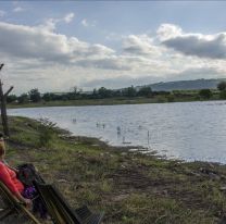 Escucha y avistaje de sapos en el Parque del Bicentenario