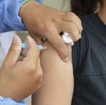 Docentes de educaci&oacute;n inicial y especial tendr&aacute;n prioridad