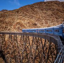 Volvi&oacute; el Tren de las Nubes, un viaje al cielo sobre rieles