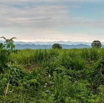 Nieve en Or&aacute;n: la postal que sorprendi&oacute; a todos los salte&ntilde;os