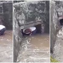 Salte&ntilde;o arriesgo su vida y se meti&oacute; a un canal para rescatar a perrito callejero