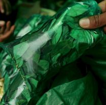 La hoja de coca volvería a subir en Salta