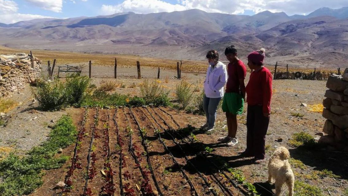La Fundación Alfarcito instala un sistema riego a productores de la Puna