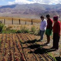 La Fundaci&oacute;n Alfarcito instala un sistema riego a productores de la Puna