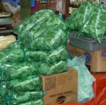 Sigue subiendo la coca y el cuarto ya vale $1200