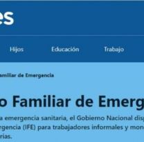 &Eacute;ste es el nuevo IFE de Anses: mir&aacute; c&oacute;mo anotarte