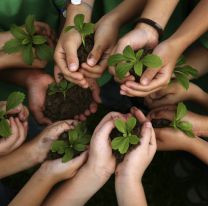 Hoy es el Día Mundial de la Educación Ambiental 