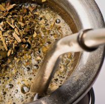 Yuyitos para el mate: cu&aacute;les son los mejores para la salud