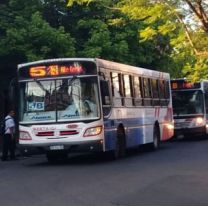 PASO 2021: habrá transporte público gratis el domingo para ir a votar
