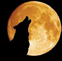 Este 28 de enero podremos ser testigos de la &#8220;Luna de Lobo&#8221;: cómo y a qué hora verla