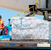 El tercer vuelo de Aerolíneas Argentinas también trajo 20 mil vacunas para Bolivia