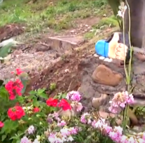 Vecina salteña armó un hermoso jardín en un terreno baldío