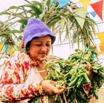 Salta realizar&aacute; una “pe&ntilde;a con protocolos” para celebrar el carnaval