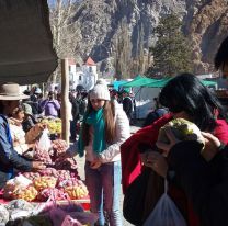 La Fundaci&oacute;n Alfarcito necesita donaciones para continuar creciendo