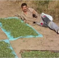 La historia del salteño que inventó la “coca del monte” y ahora la van a exportar a España
