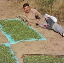 La historia del salteño que inventó la &#8220;coca del monte&#8221; y ahora la van a exportar a España