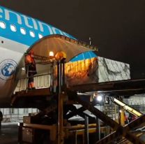 Aerolíneas viaja a China en busca de un millón de vacunas